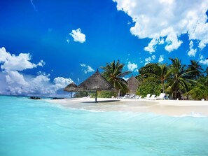 Una playa con cabañas de techo de paja, palmeras y sillas de descanso.