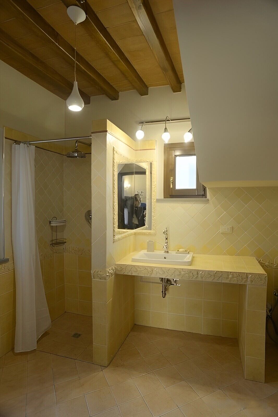 Combined shower/tub, hair dryer, bidet, towels