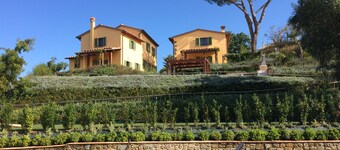 Farfalla di Toscana:  privacy, pool, amazing views