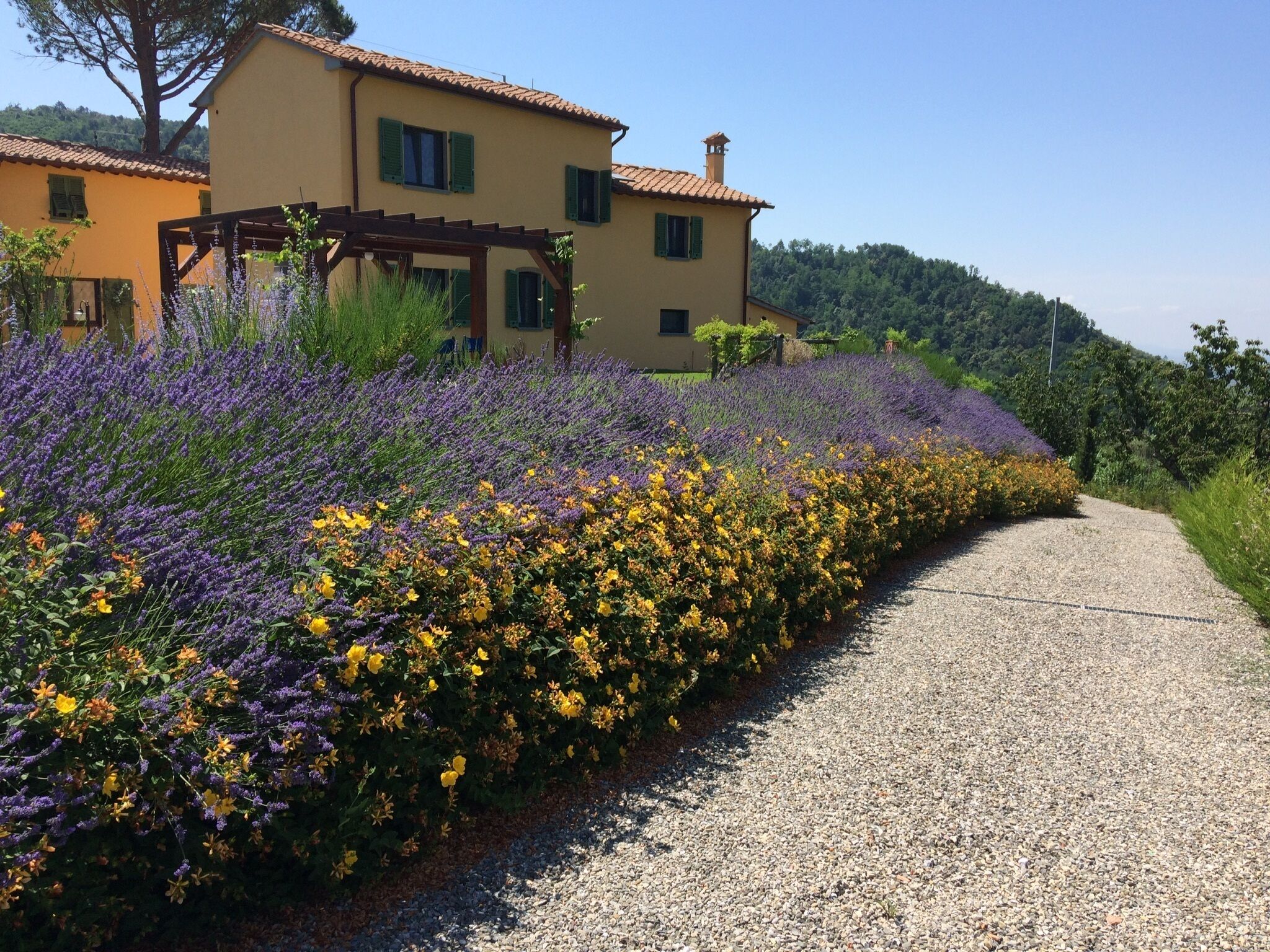 Terrein van de accommodatie