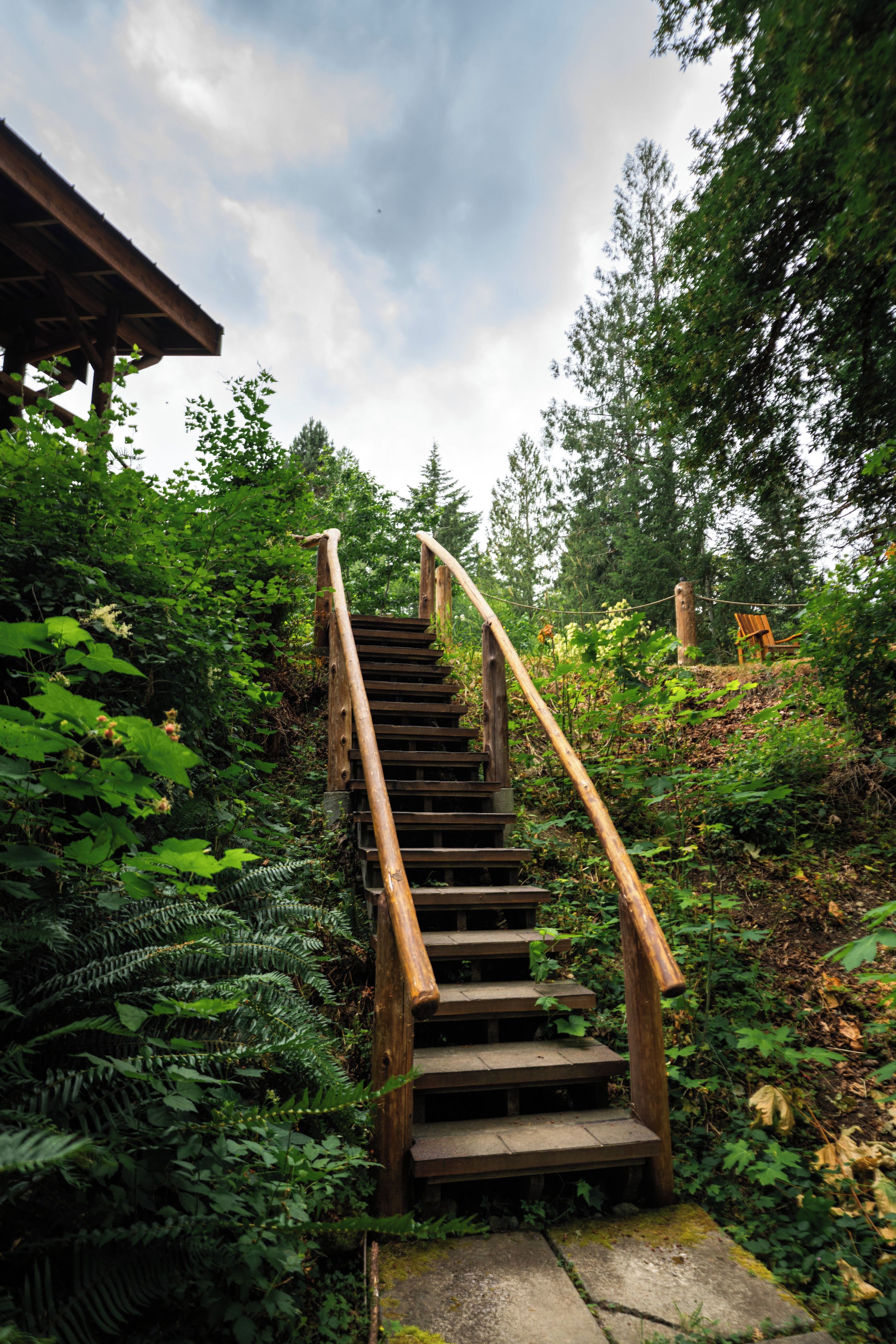 A wooden staircase leading up to a covered area, surrounded by dense greenery and trees.