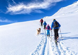 A group of people skiing on a snow-covered slope with a clear sky. - FEWO Haus Gabi | Ski Holiday Murau | Sleeps 8 | Dogs | Kreischberg & Lachtal (Sankt Peter am Kammersberg)