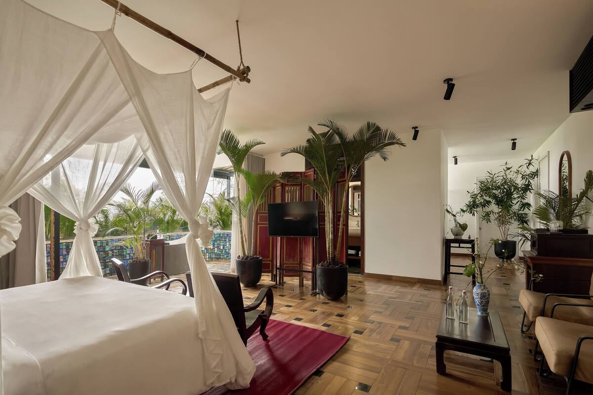 A room with a bed, a TV, potted plants, and a wooden floor.