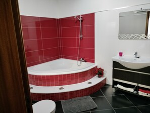 Combined shower/bathtub, hair dryer, towels, soap
