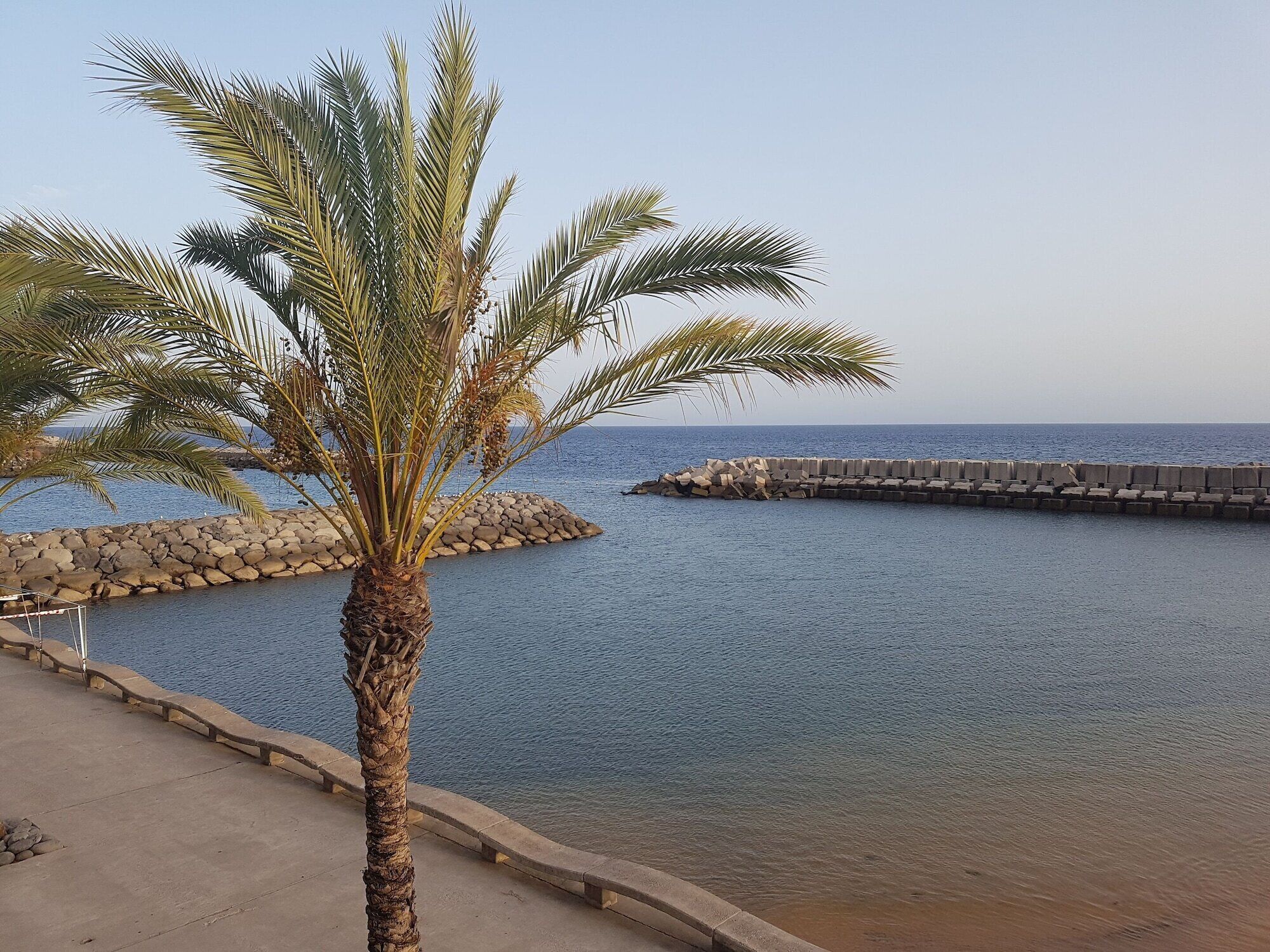 On the beach, sun-loungers