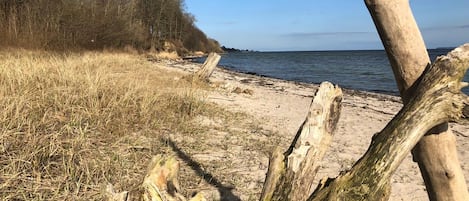 Playa en los alrededores y camastros 