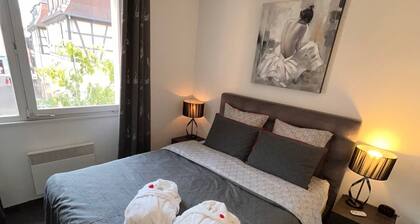 4 stars a stone's throw from "Little Venice" in Colmar! Let yourself be pampered!