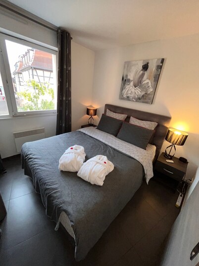 4 stars a stone's throw from "Little Venice" in Colmar!  Let yourself be pampered!
