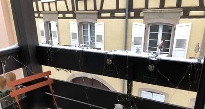 4 stars a stone's throw from "Little Venice" in Colmar! Let yourself be pampered!