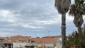 Una terraza en la azotea con baldosas de terracota, plantas en macetas y una palmera.