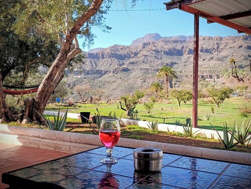 Country house among palm and olive trees.