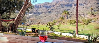Country house among palm and olive trees.
