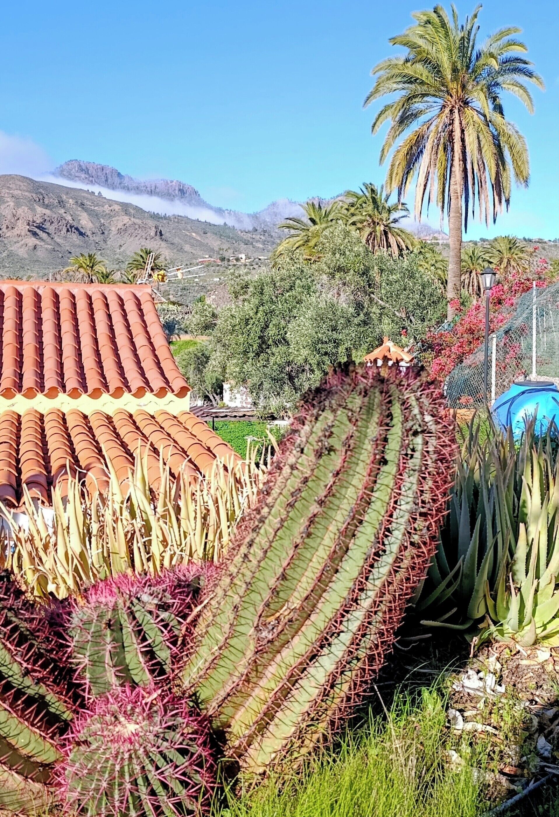 Área da propriedade