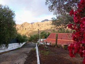Property grounds - Country house among palm and olive trees. (CN)