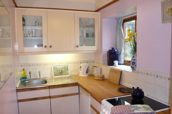 Fridge, oven, stovetop, coffee/tea maker