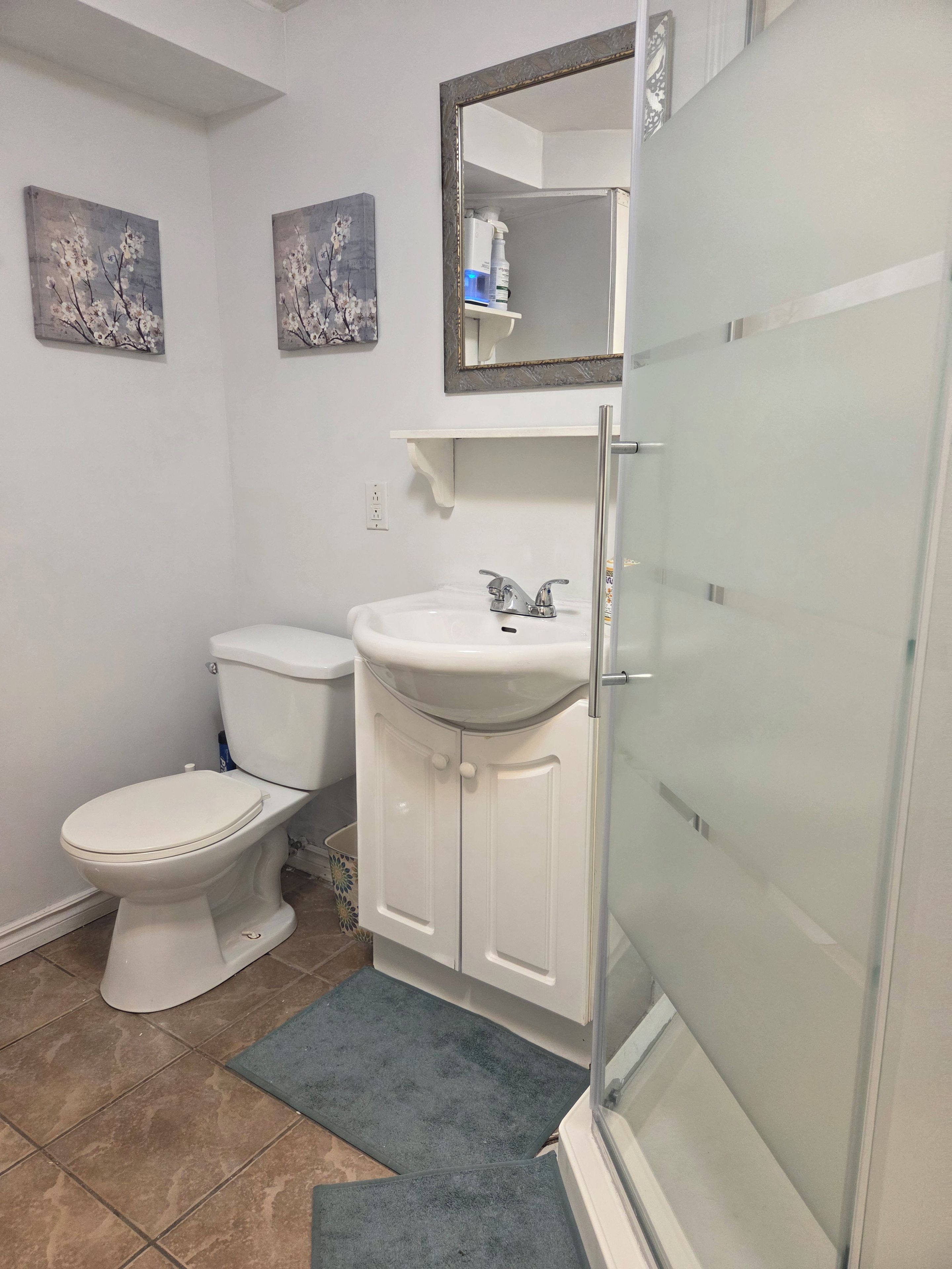 Une salle de bain équipée de toilettes, d’un lavabo et d’une douche à parois en verre.