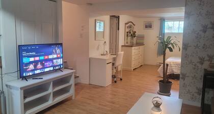studio, bachelor