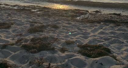 Ferienwohnungen im Alten Speicher Dassow - 10 Minuten zur Ostsee