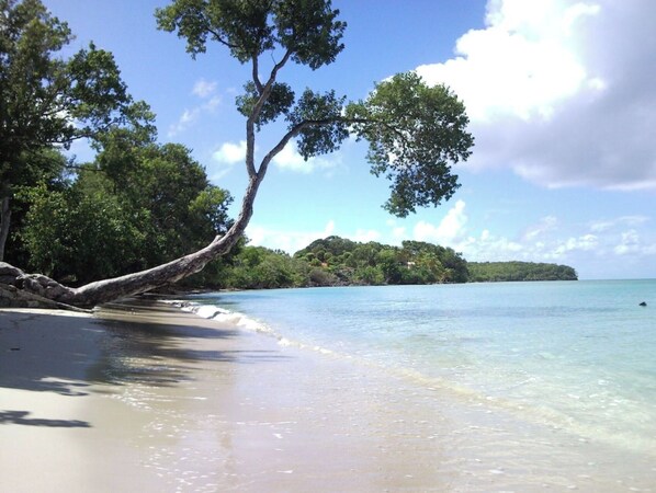 Plage à proximité