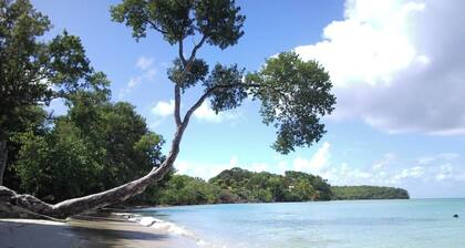 Studio 3107 sea view, beach, swimming pool by bar-restaurant, car rental park