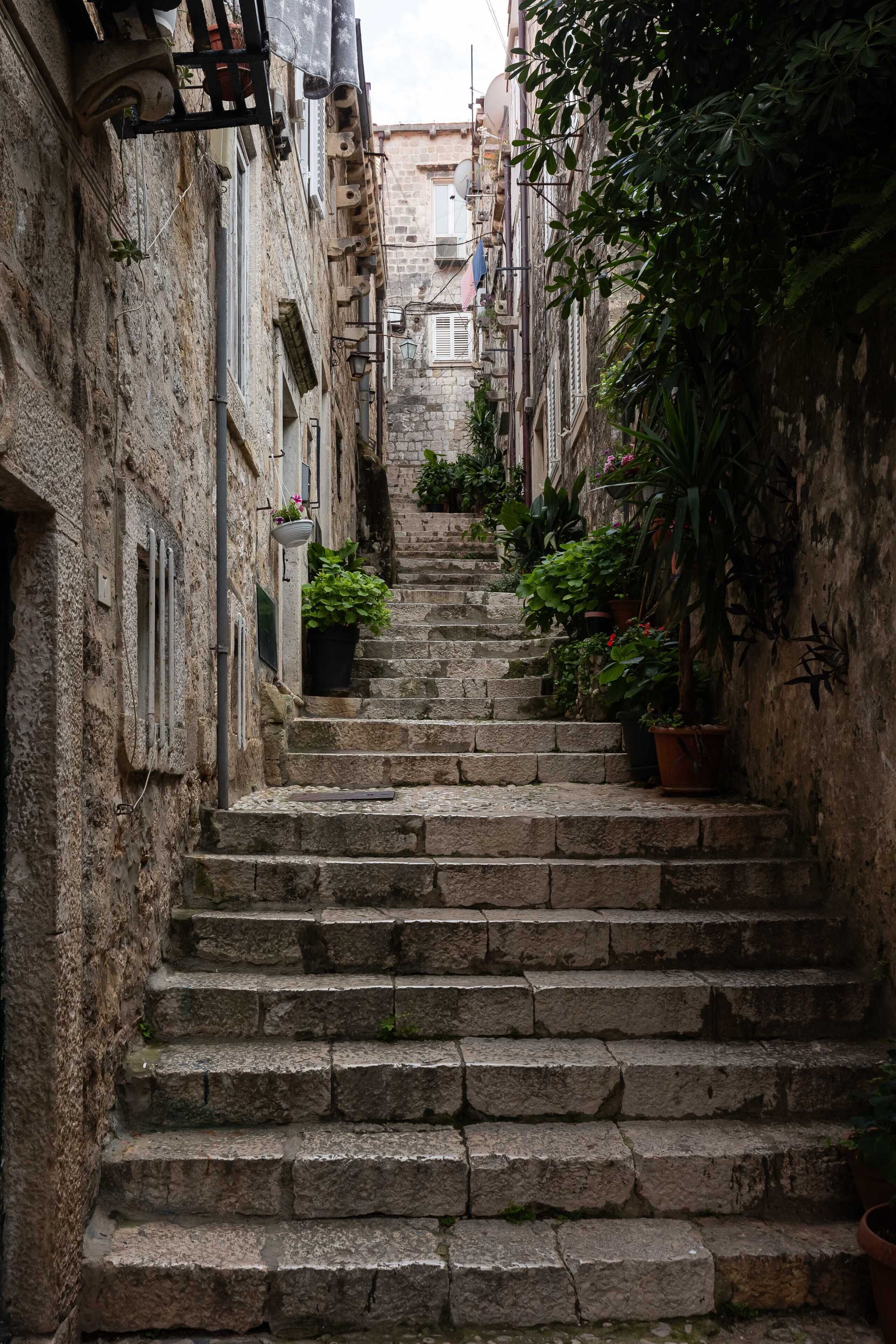 Un escalier étroit en pierre, situé dans un bâtiment historique, avec des plantes en pot au sommet.