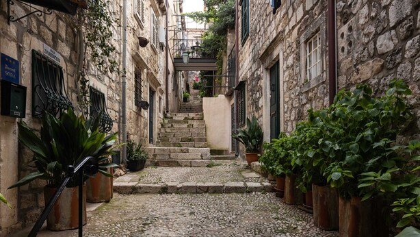 A narrow stone-paved alley with steps leading to a building entrance, flanked by potted plants and stone walls. - Apartment Taura (Dubrovnik)