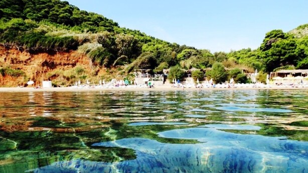 Una playa con aguas cristalinas, una orilla arenosa y una ladera boscosa.