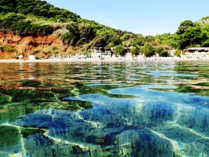 A beach with clear water, a sandy shore, and a forested hillside.