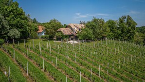 Exterior - Vineyard Home Martin With Sauna (Brežice)
