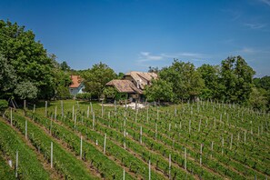 Exterior - Vineyard Home Martin With Sauna (Brežice)