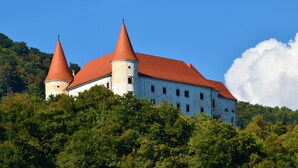 A castle with two red-roofed towers, surrounded by lush greenery. - Vineyard Home Martin With Sauna (Brežice)