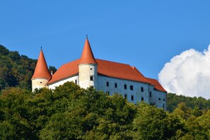 Exterior - Vineyard Home Martin With Sauna (Brežice)