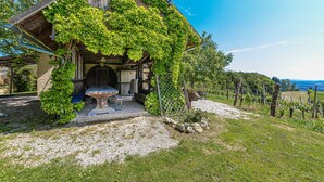 Exterior - Vineyard Home Martin With Sauna (Brežice)