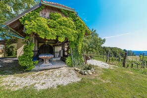 Exterior - Vineyard Home Martin With Sauna (Brežice)