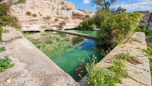 Piscina exterior cristalina con peces koi, rodeada de formaciones rocosas naturales y vegetación.