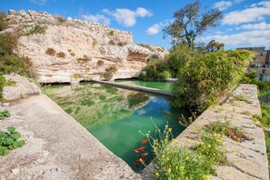 Pool - Pool & SPA - Wellness Villa St Martin (Mgarr)