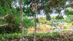 Un jardín con muro de piedra, un columpio de madera y un banco.
