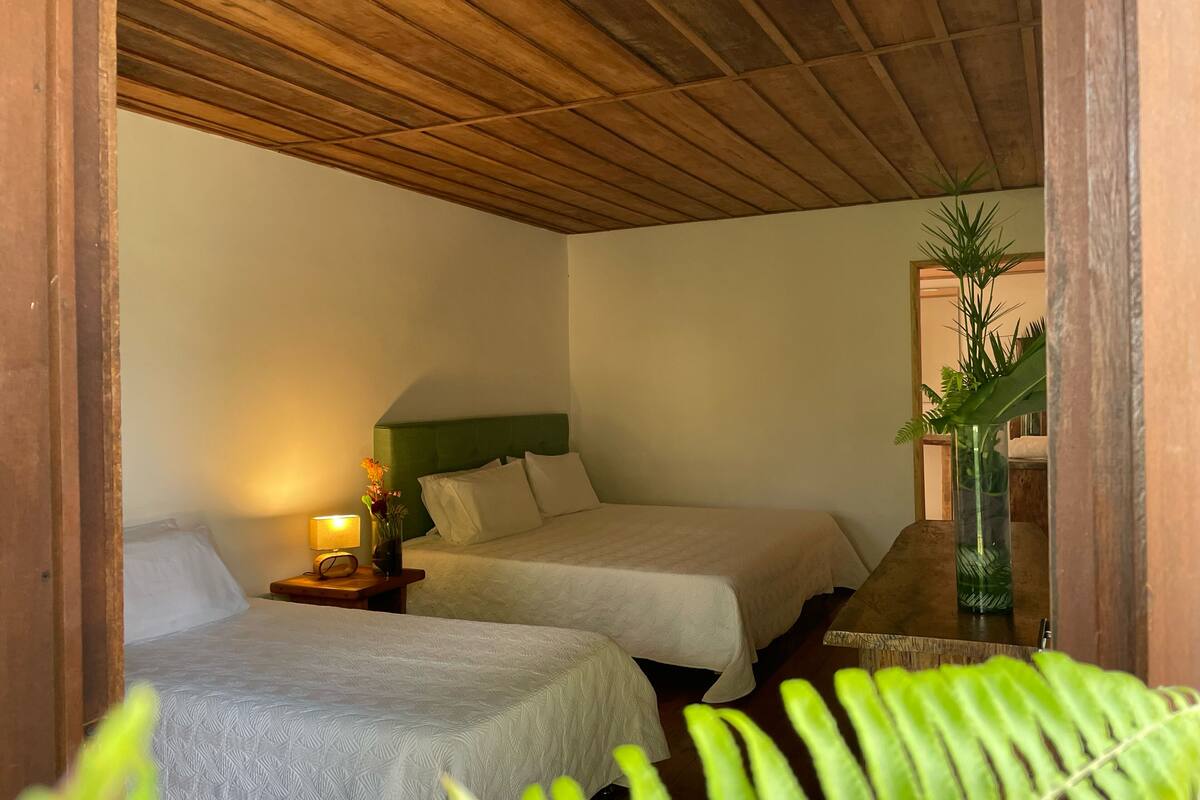 A room with two beds, a nightstand with a lamp, and a potted plant.