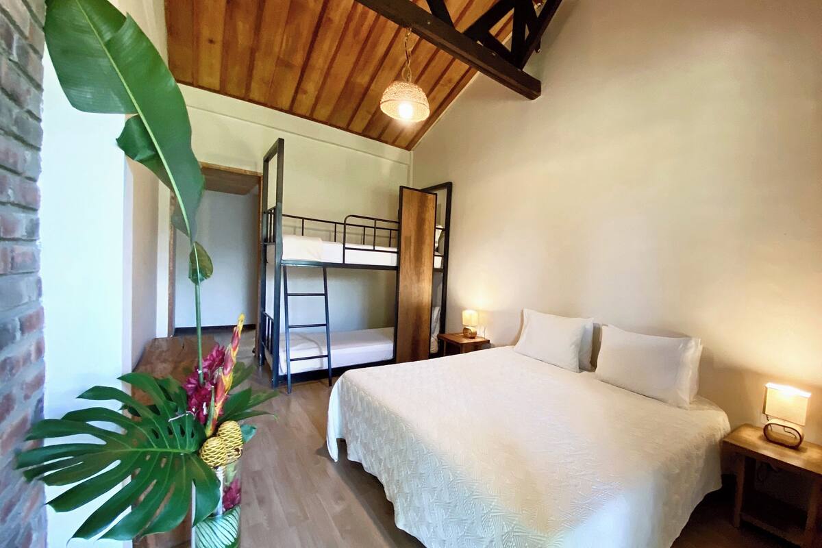A bedroom with a bunk bed, a large bed, and a potted plant.