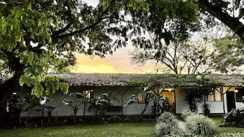 Habitación doble | Ropa de cama hipoalergénica, wifi gratis y ropa de cama