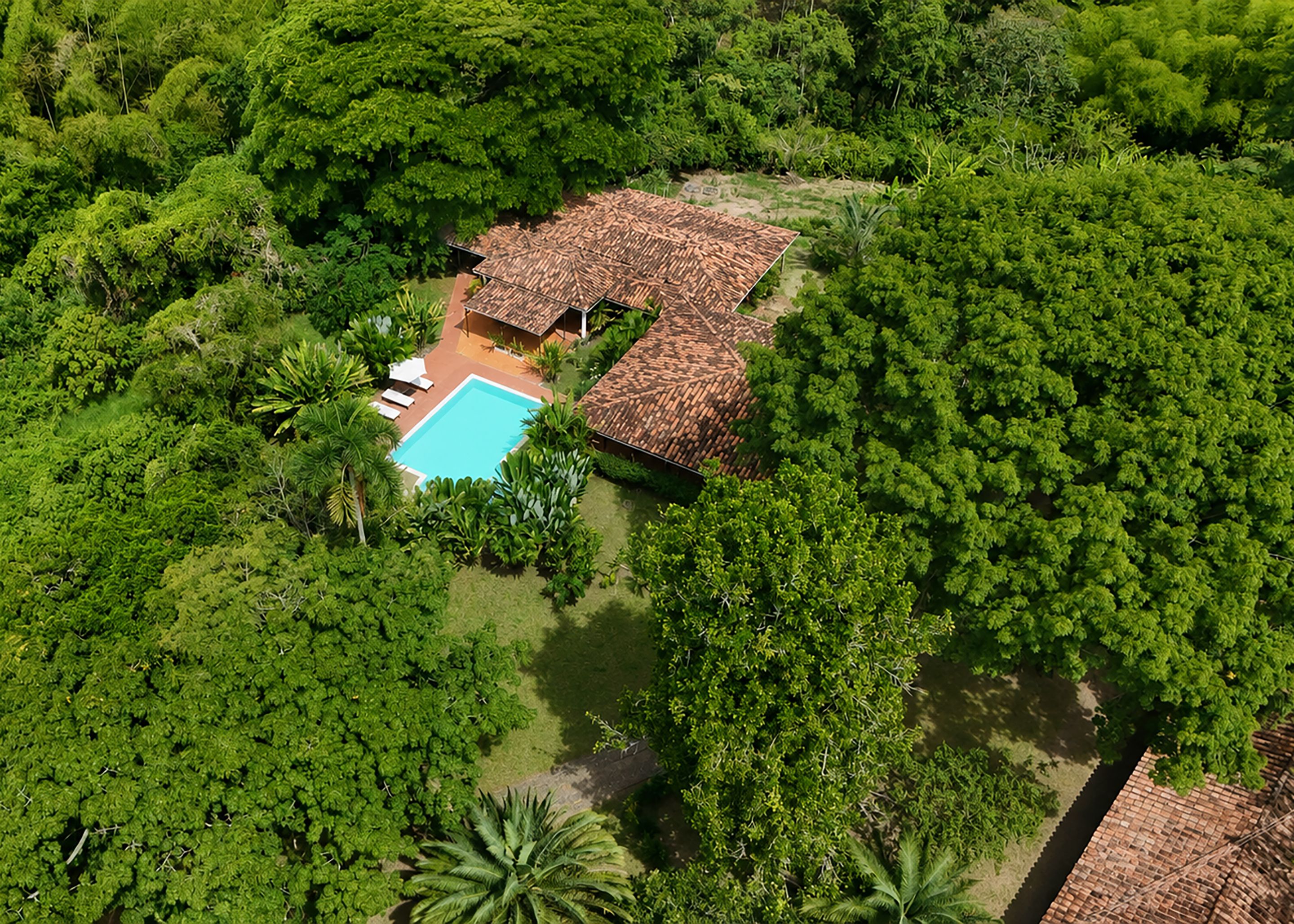 Vista aérea de una propiedad con piscina, rodeada de abundante vegetación y una estructura de techo de tejas.
