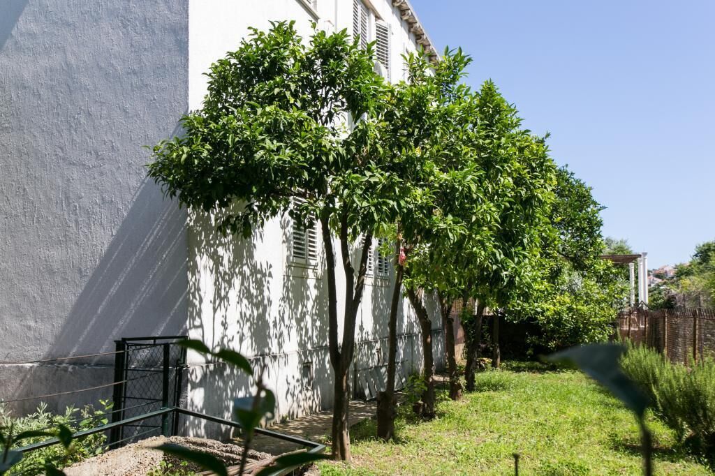 Une cour bordée d’arbres, avec un bâtiment blanc, un portail en métal et une zone herbeuse.