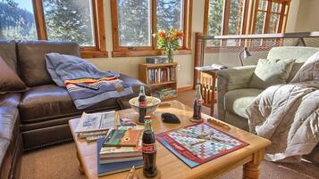 Télévision, cheminée, lecteur de DVD, livres