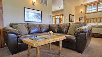 Télévision, cheminée, lecteur de DVD, livres