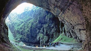 Entrada a una cueva con un puente colgante que conduce a un valle exuberante y verde.