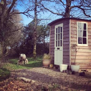 Exterior - Tree house and shepherds hut (Ashburton)