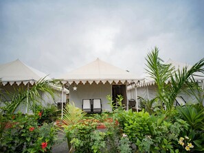 皇家帐篷房 | 花园景观