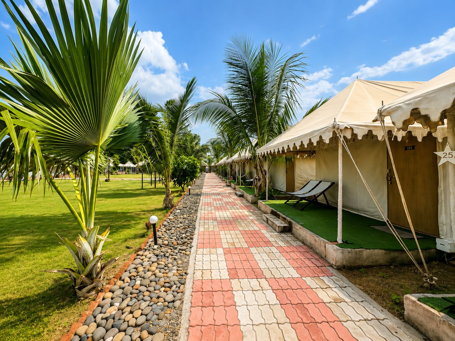 A pathway lined with palm trees and a row of tents with lounge chairs.