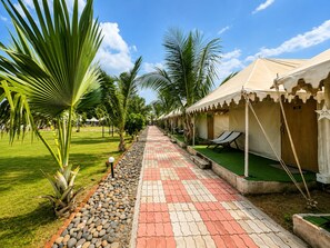 A pathway lined with palm trees and a row of tents with lounge chairs.