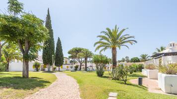 Terrain de l’hébergement